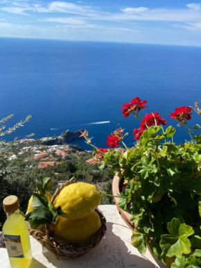 Bed&Breakfast Miramare Agerola